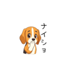 ビーグル犬ヤマトの日常（個別スタンプ：8）