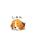 ビーグル犬ヤマトの日常（個別スタンプ：18）
