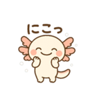 きゅん連発！ウーパきゅんの毎日スタンプ（個別スタンプ：1）