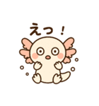 きゅん連発！ウーパきゅんの毎日スタンプ（個別スタンプ：3）