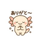 きゅん連発！ウーパきゅんの毎日スタンプ（個別スタンプ：4）