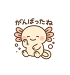 きゅん連発！ウーパきゅんの毎日スタンプ（個別スタンプ：6）