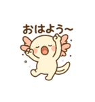 きゅん連発！ウーパきゅんの毎日スタンプ（個別スタンプ：8）