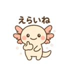 きゅん連発！ウーパきゅんの毎日スタンプ（個別スタンプ：13）