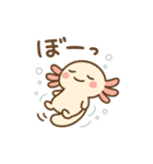 きゅん連発！ウーパきゅんの毎日スタンプ（個別スタンプ：15）