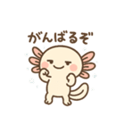 きゅん連発！ウーパきゅんの毎日スタンプ（個別スタンプ：16）