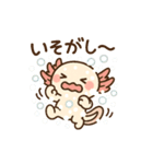 きゅん連発！ウーパきゅんの毎日スタンプ（個別スタンプ：17）