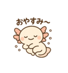 きゅん連発！ウーパきゅんの毎日スタンプ（個別スタンプ：27）