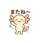 きゅん連発！ウーパきゅんの毎日スタンプ（個別スタンプ：38）