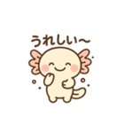 きゅん連発！ウーパきゅんの毎日スタンプ（個別スタンプ：39）