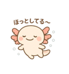きゅん連発！ウーパきゅんの毎日スタンプ（個別スタンプ：40）