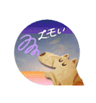 フォトジェニックさん其の参（個別スタンプ：4）