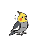 歌うのが好きなオカメインコのスタンプ（個別スタンプ：1）