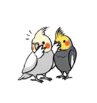歌うのが好きなオカメインコのスタンプ（個別スタンプ：2）