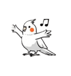 歌うのが好きなオカメインコのスタンプ（個別スタンプ：4）