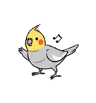 歌うのが好きなオカメインコのスタンプ（個別スタンプ：5）