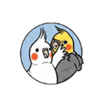 歌うのが好きなオカメインコのスタンプ（個別スタンプ：6）