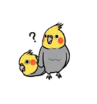 歌うのが好きなオカメインコのスタンプ（個別スタンプ：8）