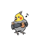 歌うのが好きなオカメインコのスタンプ（個別スタンプ：12）