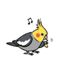 歌うのが好きなオカメインコのスタンプ（個別スタンプ：13）
