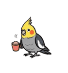 歌うのが好きなオカメインコのスタンプ（個別スタンプ：15）