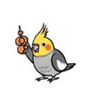 歌うのが好きなオカメインコのスタンプ（個別スタンプ：16）