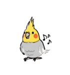 歌うのが好きなオカメインコのスタンプ（個別スタンプ：18）