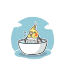 歌うのが好きなオカメインコのスタンプ（個別スタンプ：23）