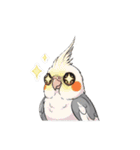 歌うのが好きなオカメインコのスタンプ（個別スタンプ：25）