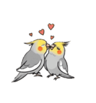 歌うのが好きなオカメインコのスタンプ（個別スタンプ：30）