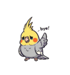 歌うのが好きなオカメインコのスタンプ（個別スタンプ：31）