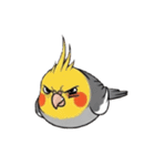 歌うのが好きなオカメインコのスタンプ（個別スタンプ：35）