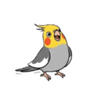 歌うのが好きなオカメインコのスタンプ（個別スタンプ：39）