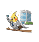 歌うのが好きなオカメインコのスタンプ（個別スタンプ：40）