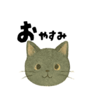 【毎日つかえる】ねこのかおことば（個別スタンプ：3）