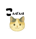 【毎日つかえる】ねこのかおことば（個別スタンプ：5）