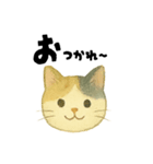 【毎日つかえる】ねこのかおことば（個別スタンプ：7）