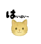 【毎日つかえる】ねこのかおことば（個別スタンプ：13）