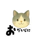 【毎日つかえる】ねこのかおことば（個別スタンプ：19）