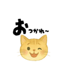 【毎日つかえる】ねこのかおことば（個別スタンプ：34）