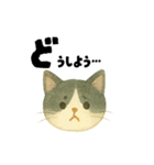 【毎日つかえる】ねこのかおことば（個別スタンプ：35）