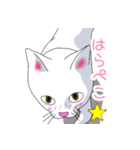 はらぺこおねだりねこ（個別スタンプ：1）