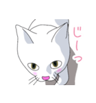 はらぺこおねだりねこ（個別スタンプ：2）