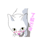 はらぺこおねだりねこ（個別スタンプ：7）