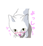はらぺこおねだりねこ（個別スタンプ：8）