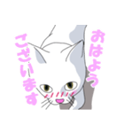 はらぺこおねだりねこ（個別スタンプ：9）