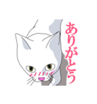 はらぺこおねだりねこ（個別スタンプ：11）