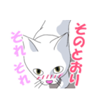 はらぺこおねだりねこ（個別スタンプ：13）