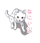はらぺこおねだりねこ（個別スタンプ：14）