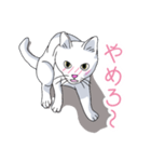 はらぺこおねだりねこ（個別スタンプ：15）